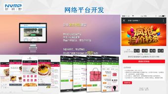 瓊海市互聯網協會會員風采 海南新視野企業營銷策劃服務有限公司——深耕本土，智創未來